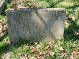 image of grave number 188632